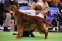 Crufts2010 942